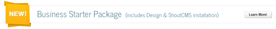 Business Starter package with web design