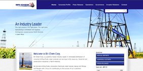 Mediashaker's Website Design for Brichem