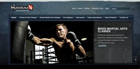Mediashaker's Website Design for Hayabusa Fitness