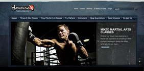 Hayabusa Fitness