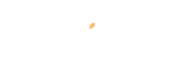 Wix