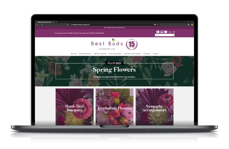 Foam King website preview